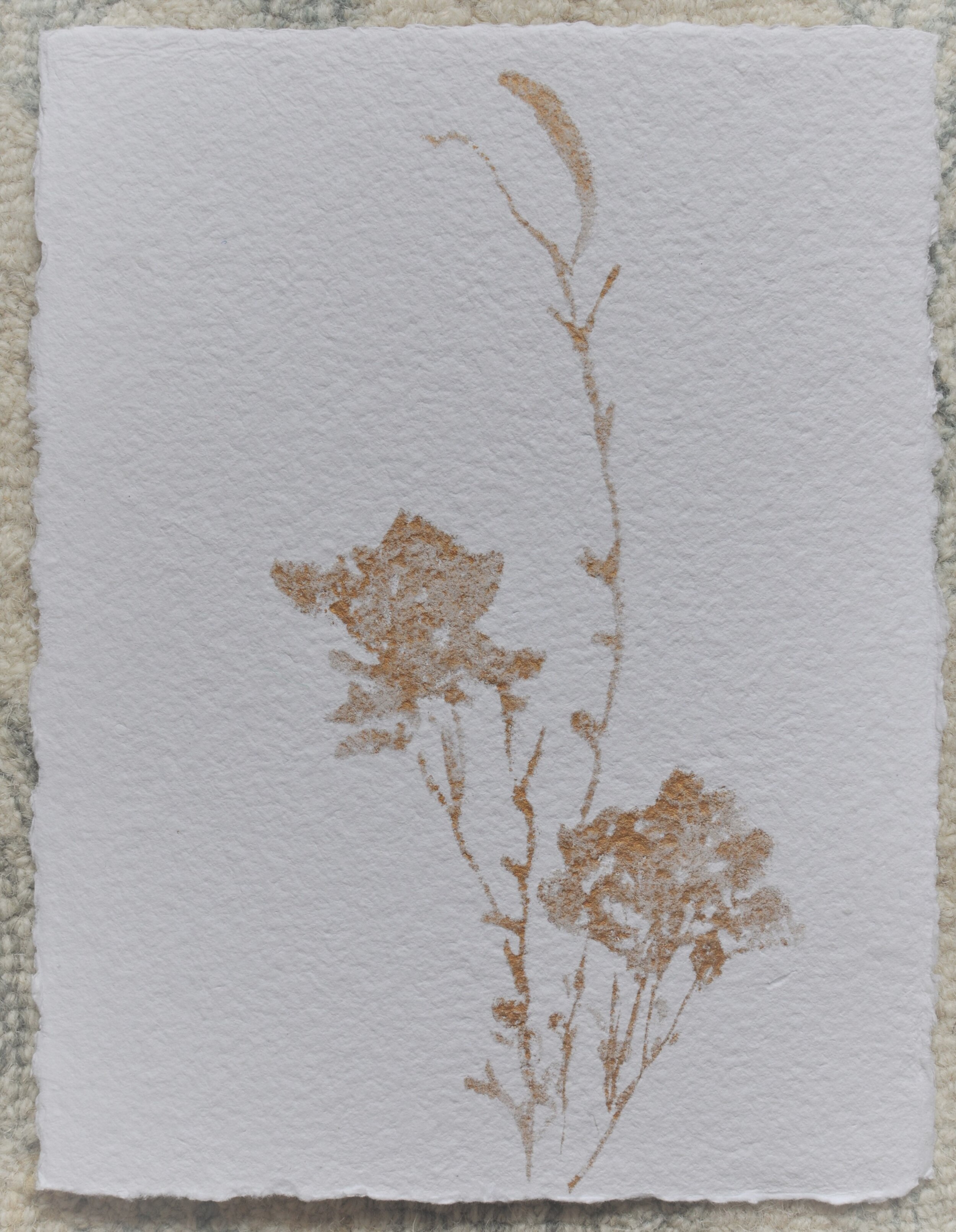 Gilded Botanical Collection Rhymes Stabler Fine Art (83).JPG