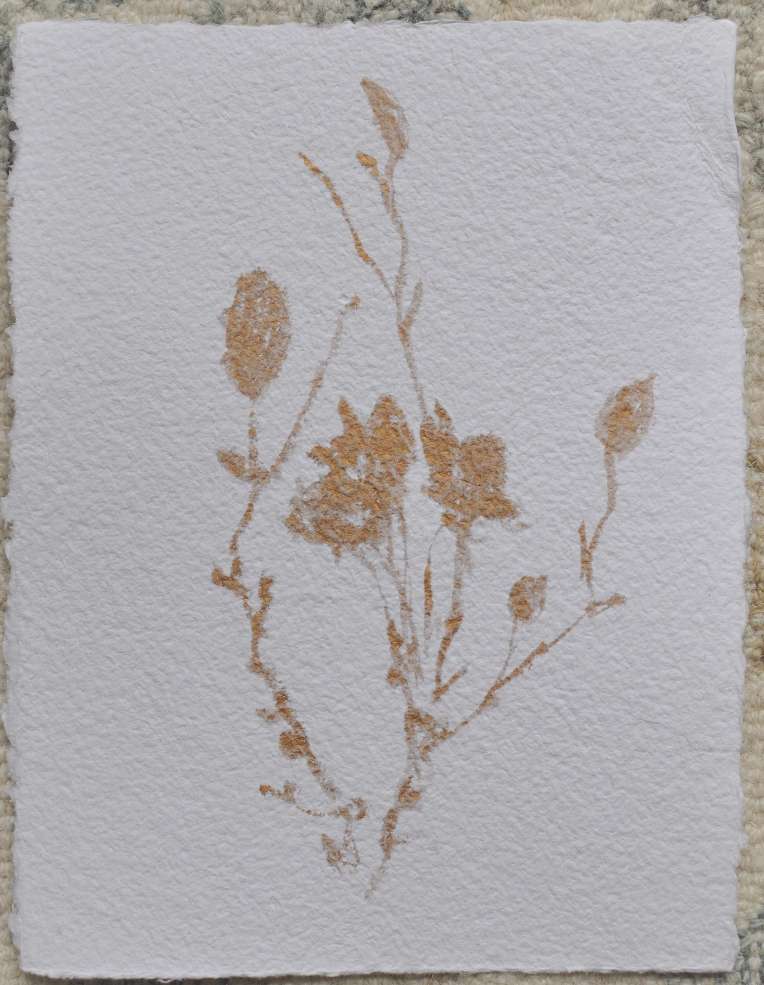 Gilded Botanical Collection Rhymes Stabler Fine Art (84).JPG