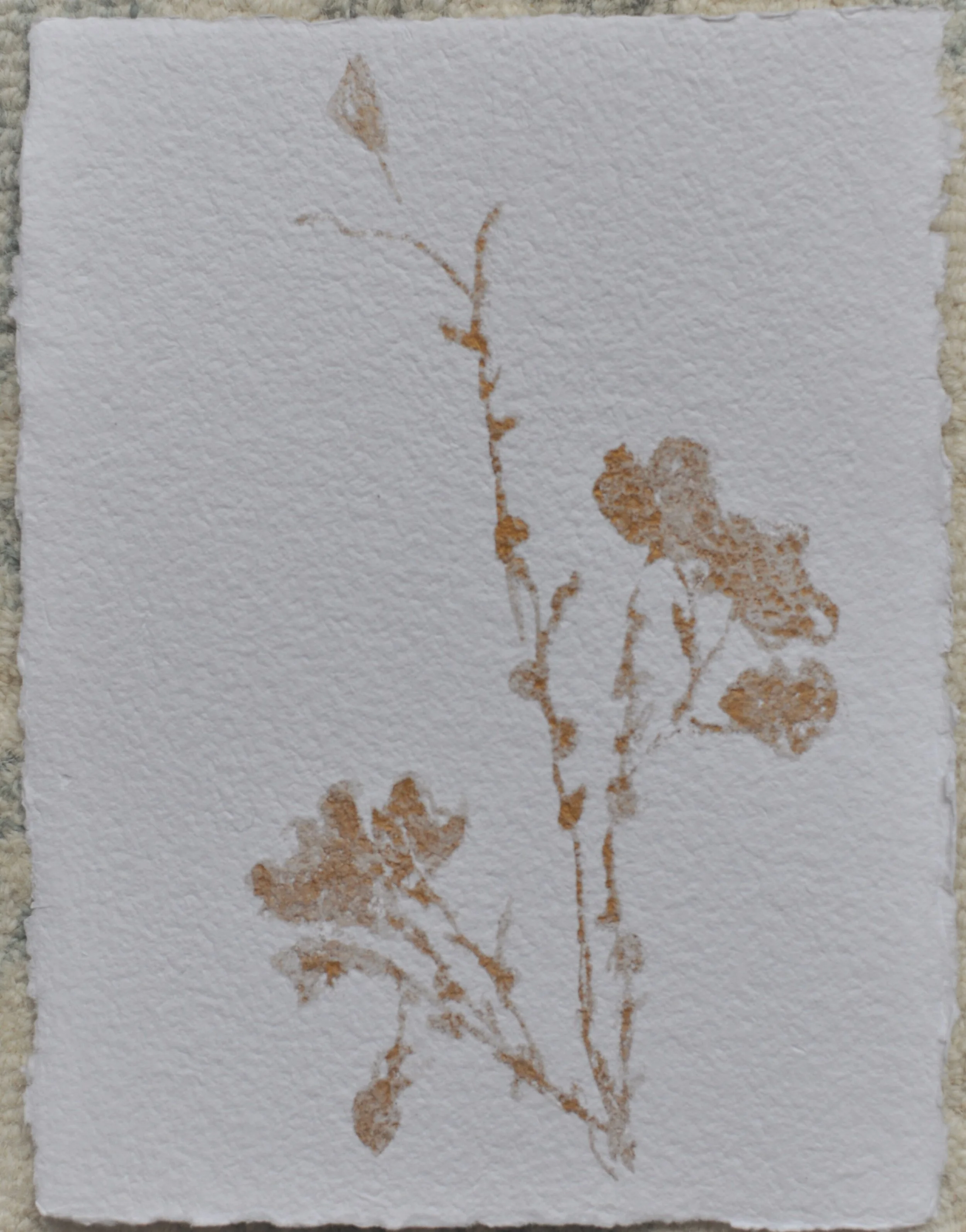 Gilded Botanical Collection Rhymes Stabler Fine Art (85).JPG