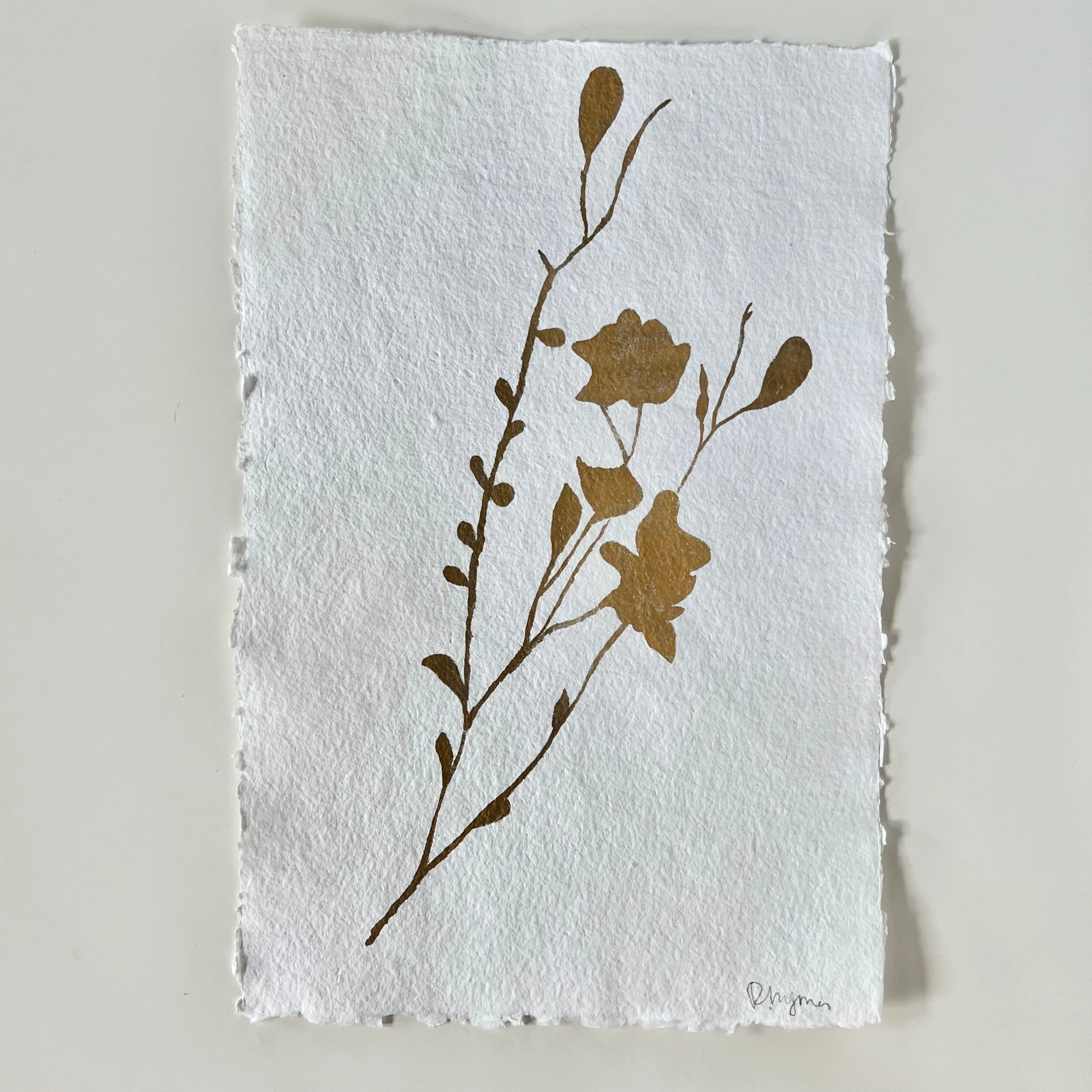 A555E418-8939-480C-BAEB-6E3D6E516C39