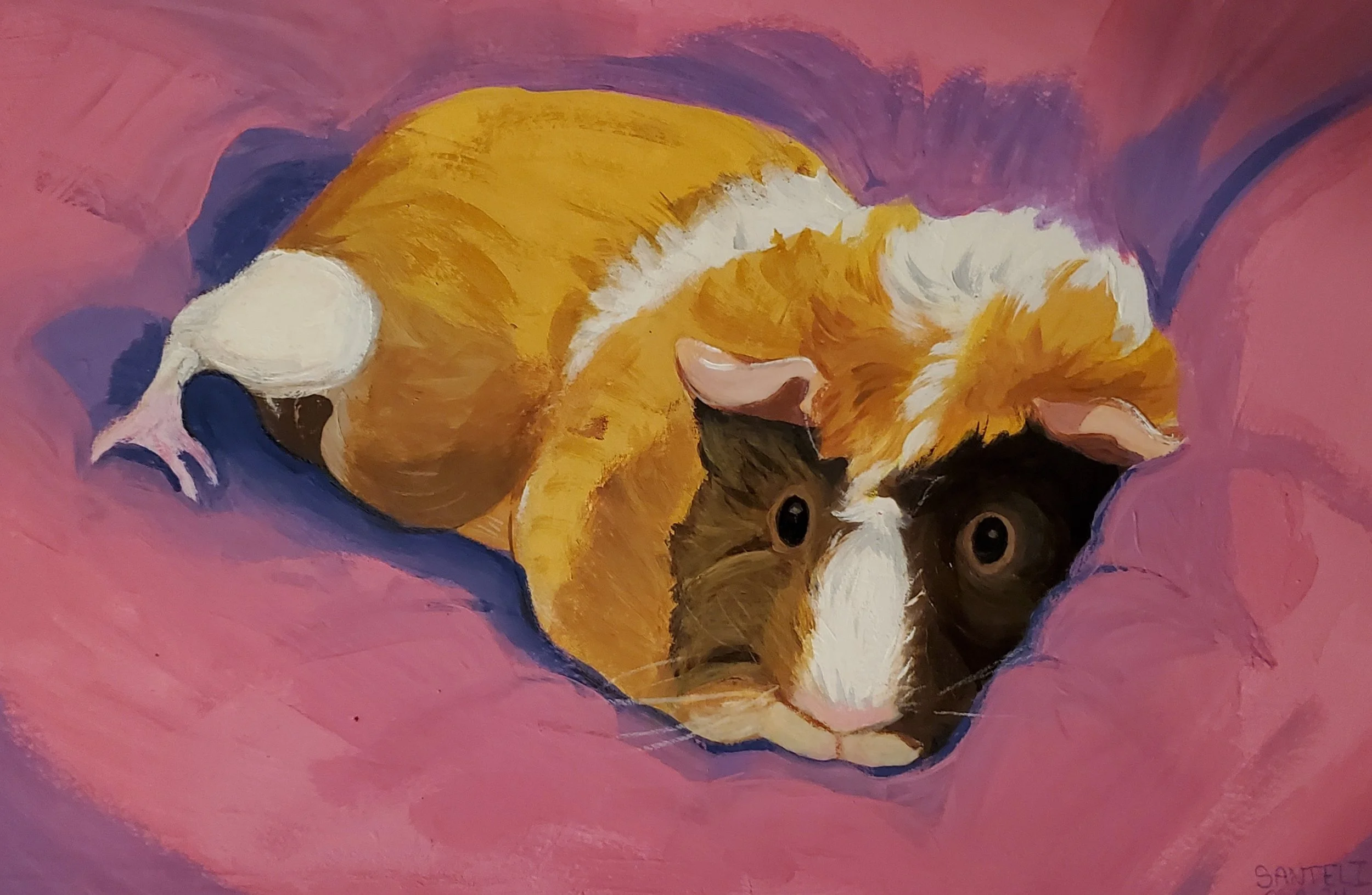 Mirabel -  Pet Portrait in Guache