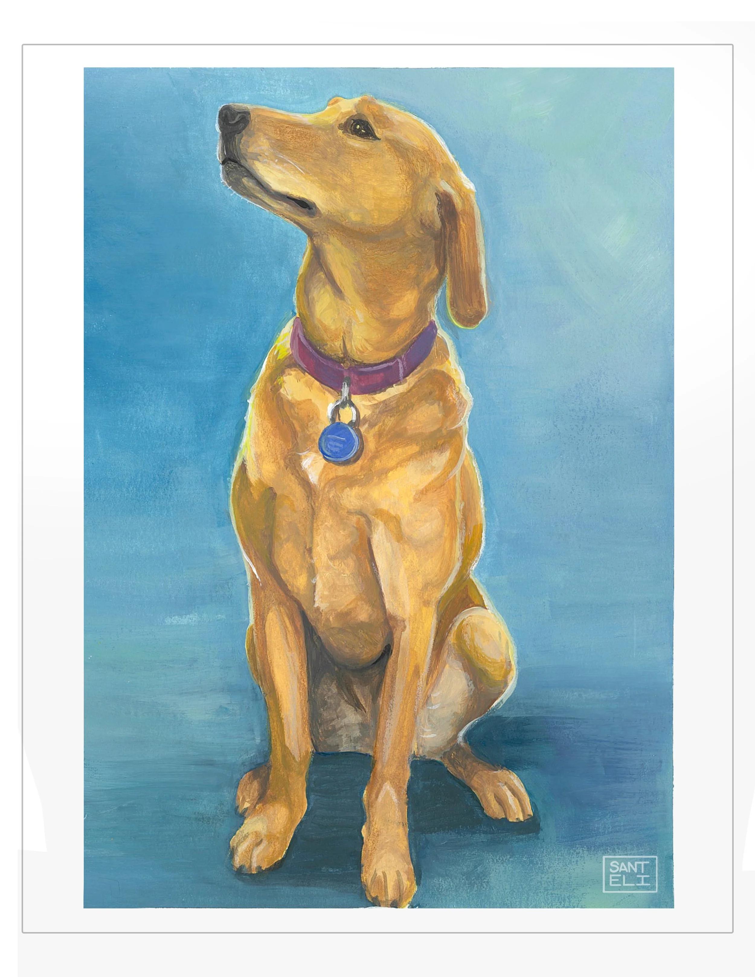 Jubilee - Pet Portrait in Guache