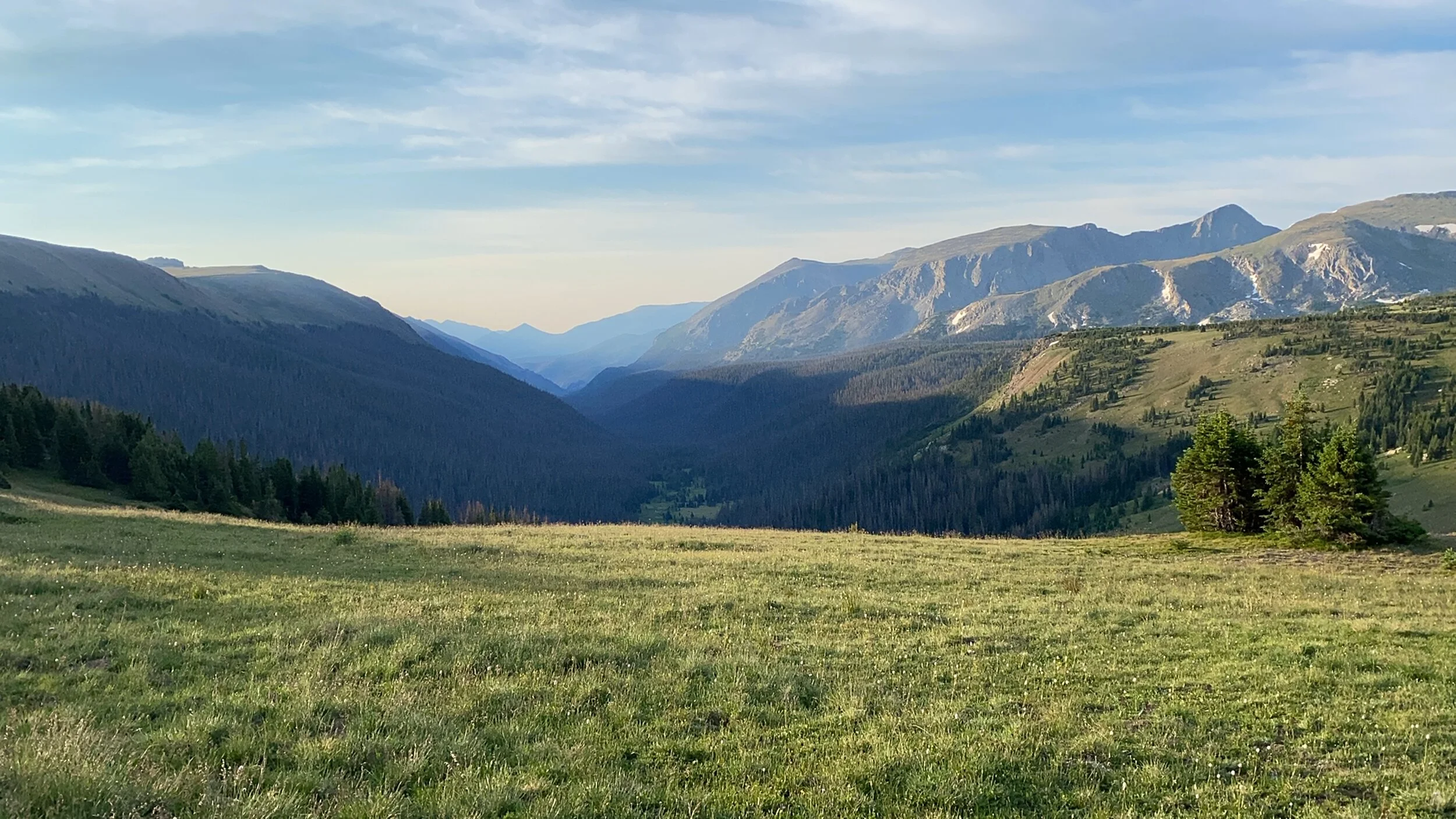 Let’s Find The Joy