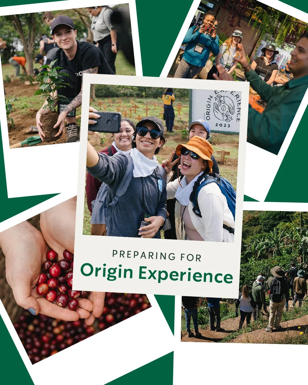 Origin Experience - US-100.jpg