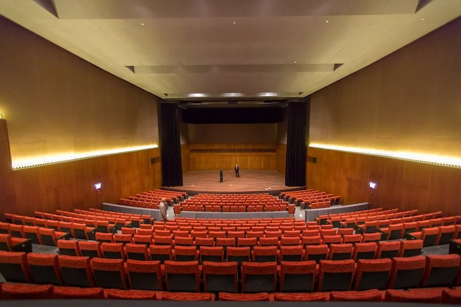 Reva &amp; David Logan Center  for the Arts | Performance Hall