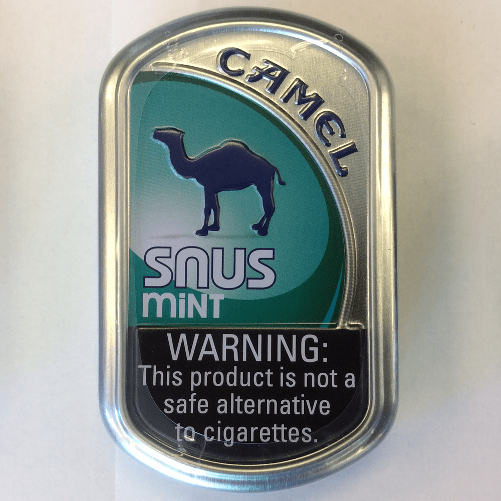 Camel SNUS Mint  Lummi Bay Market at Exit 260