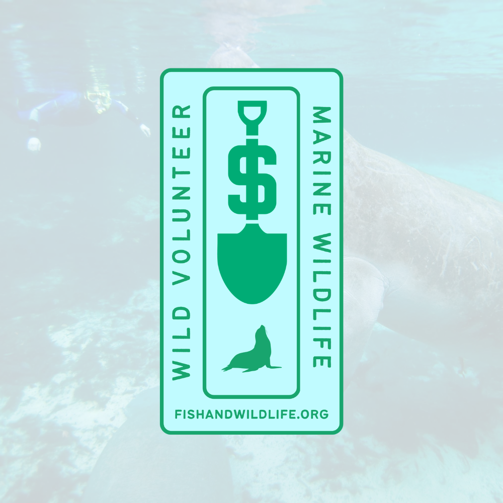 Marine Wildlife Badge - Wild Volunteer Sticker