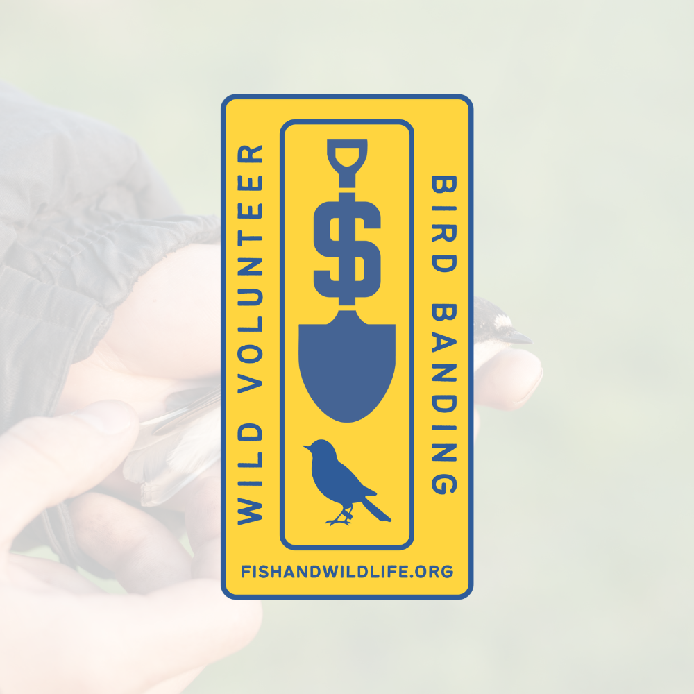 Bird Banding Badge - Wild Volunteer Sticker
