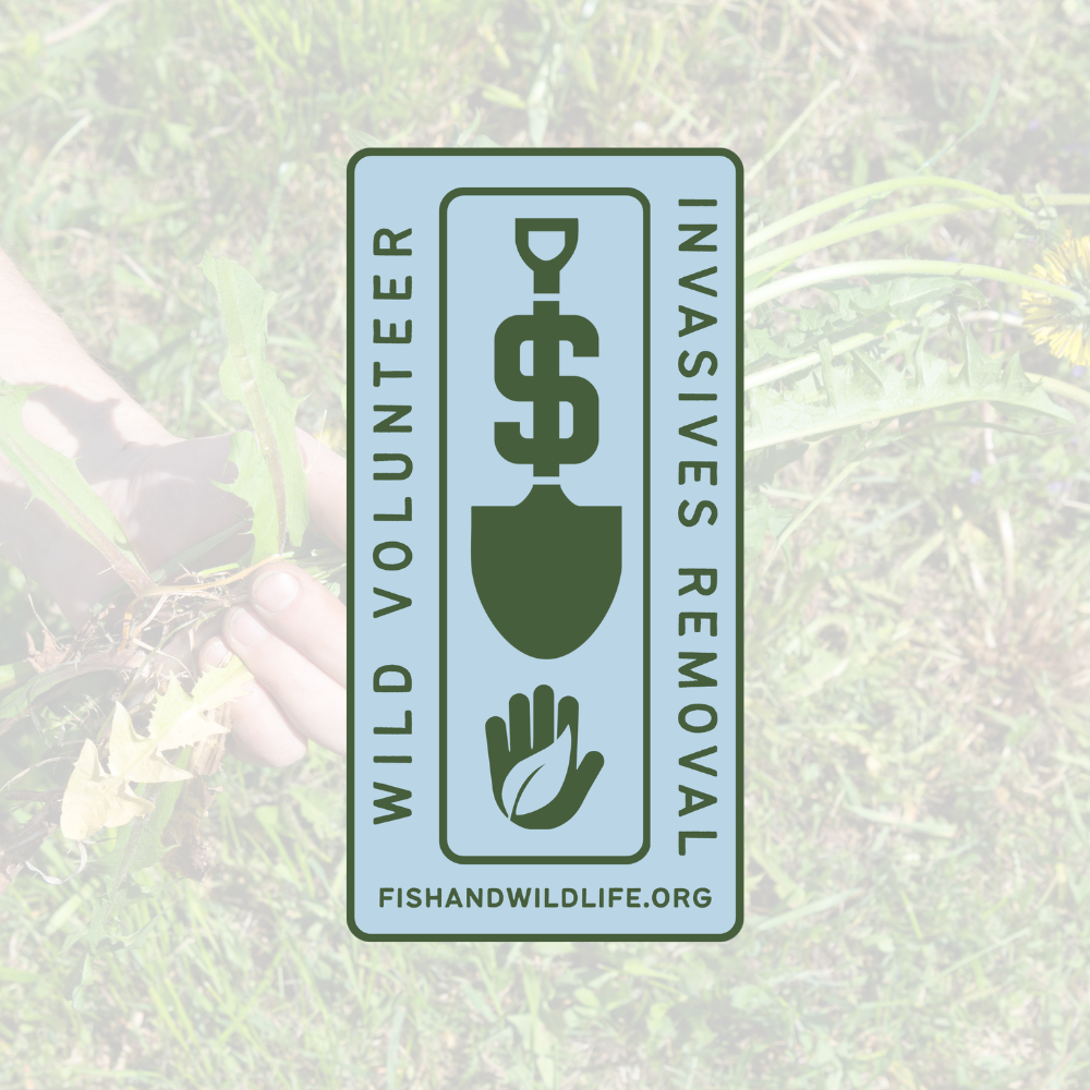 Invasives Removal Badge - Wild Volunteer Sticker