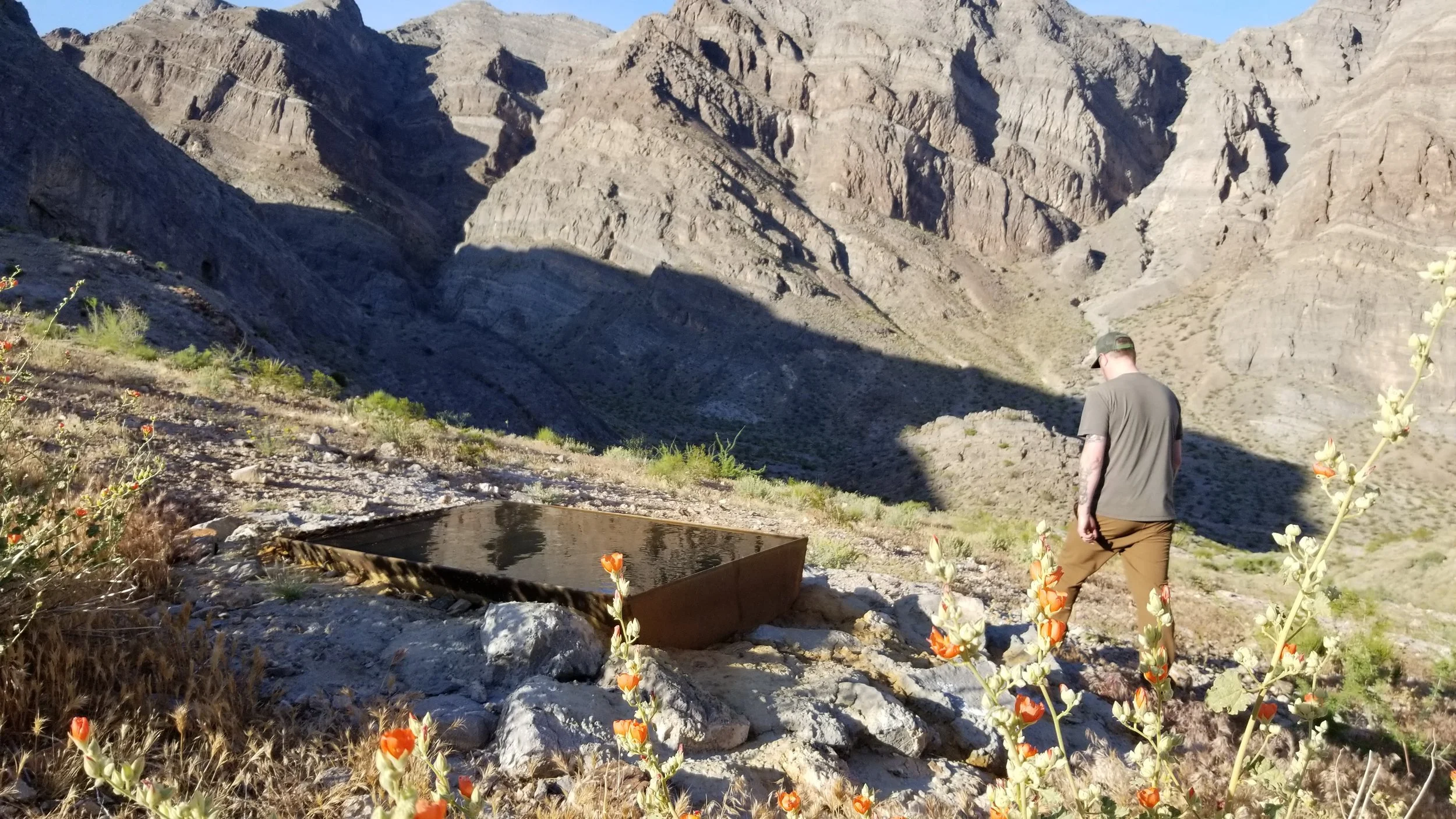 Finding wildlife volunteer projects in 2026