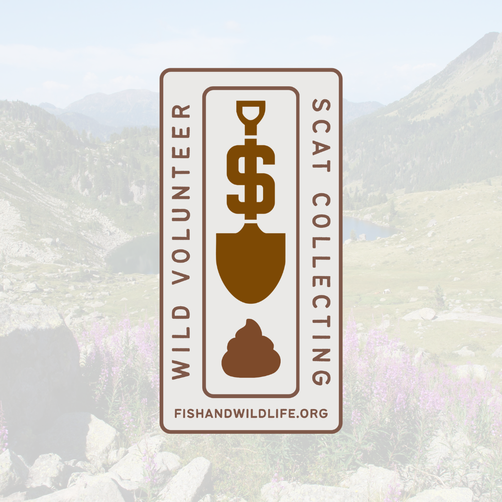 Scat Collecting Badge - Wild Volunteer Sticker