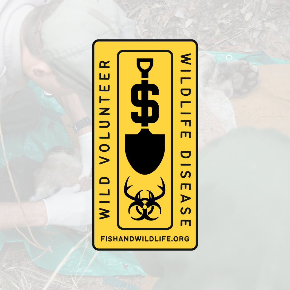 Wildlife Disease Badge - Wild Volunteer Sticker