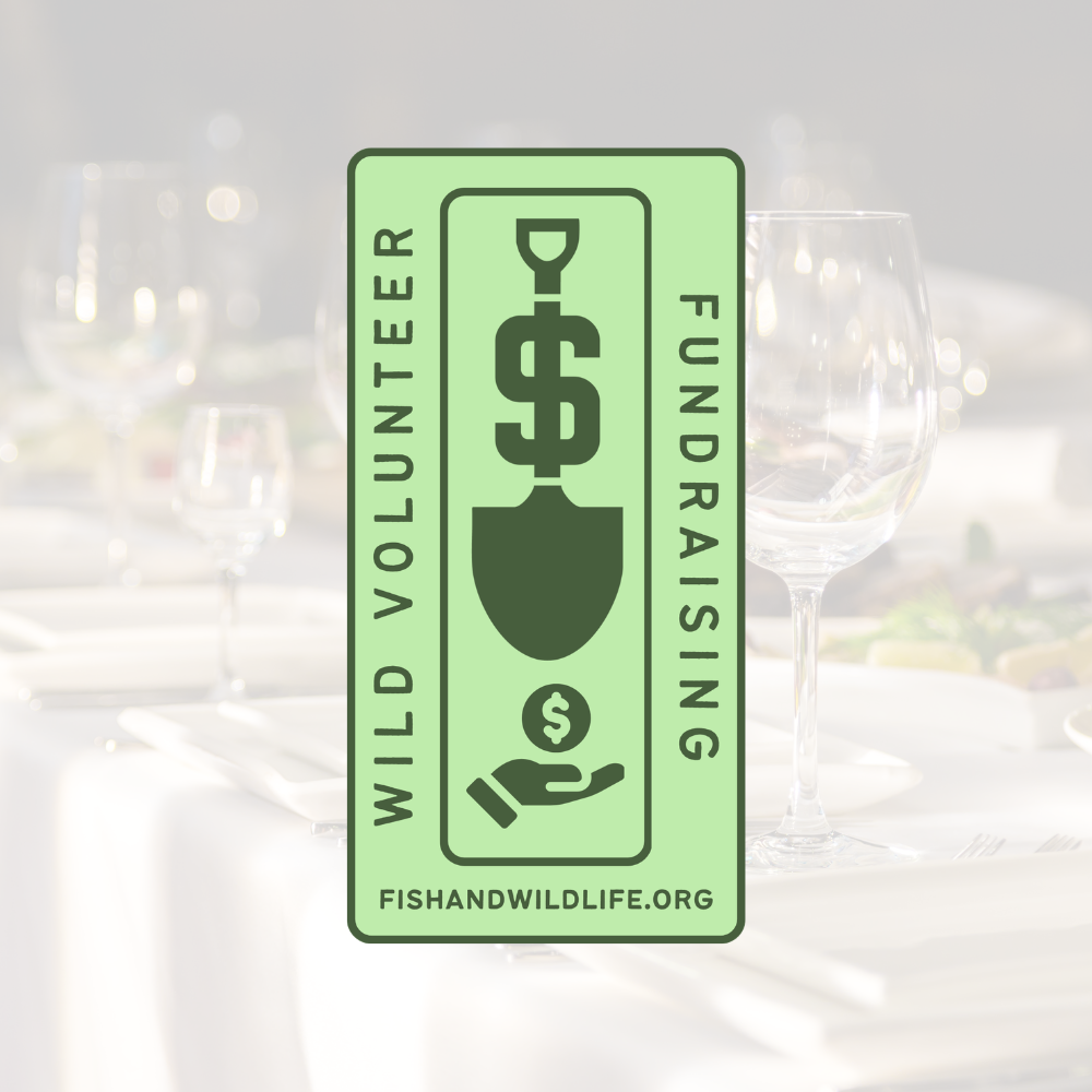 Fundraising Badge - Wild Volunteer Sticker