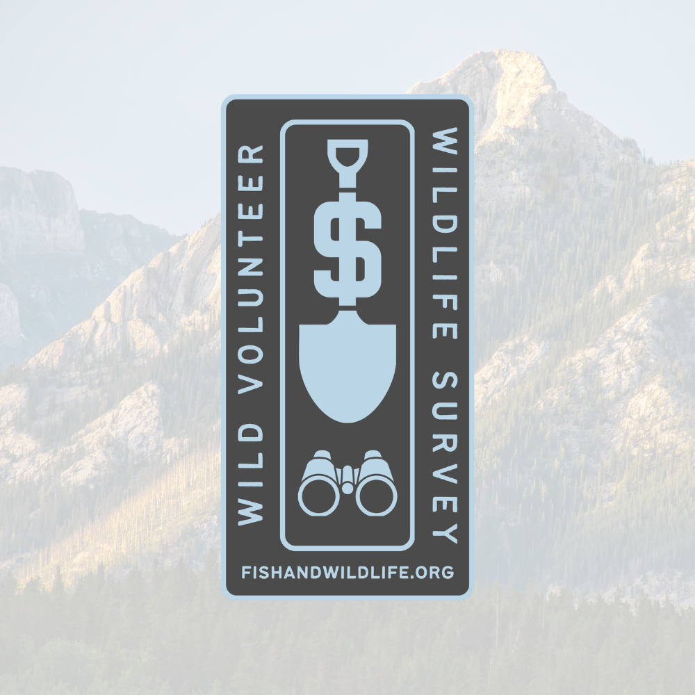 Wildlife Survey Badge - Volunteer Sticker