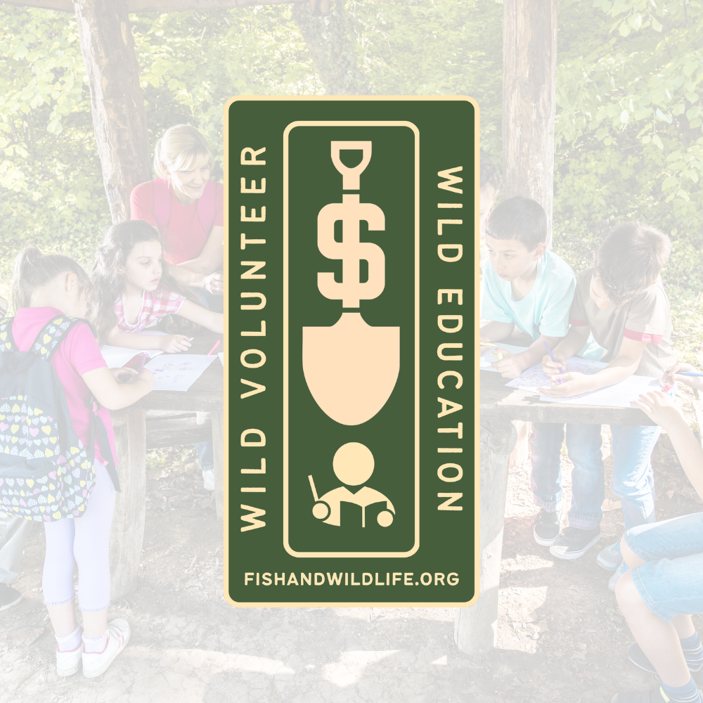 Wild Education Badge - Wild Volunteer Sticker