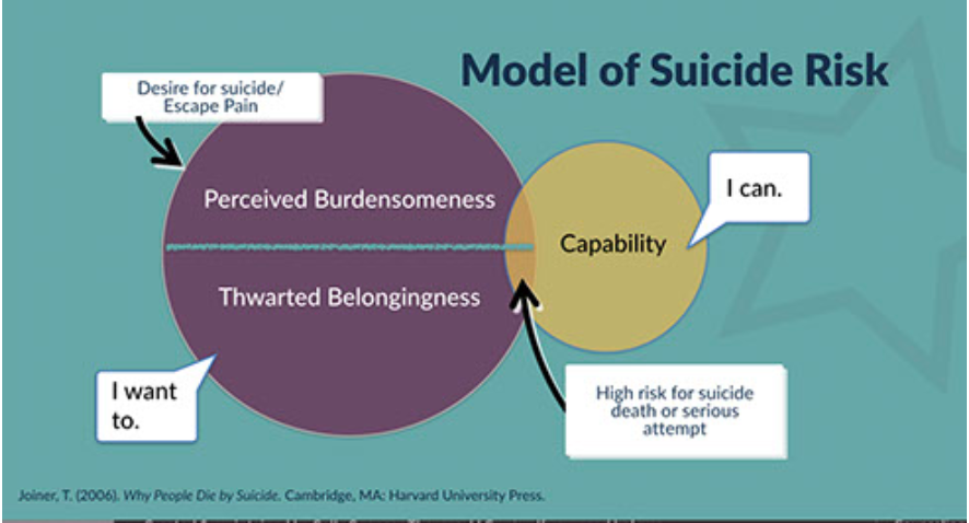 Joiners Risk Model Modelo de riesgo de suicidio — Construction Working Minds
