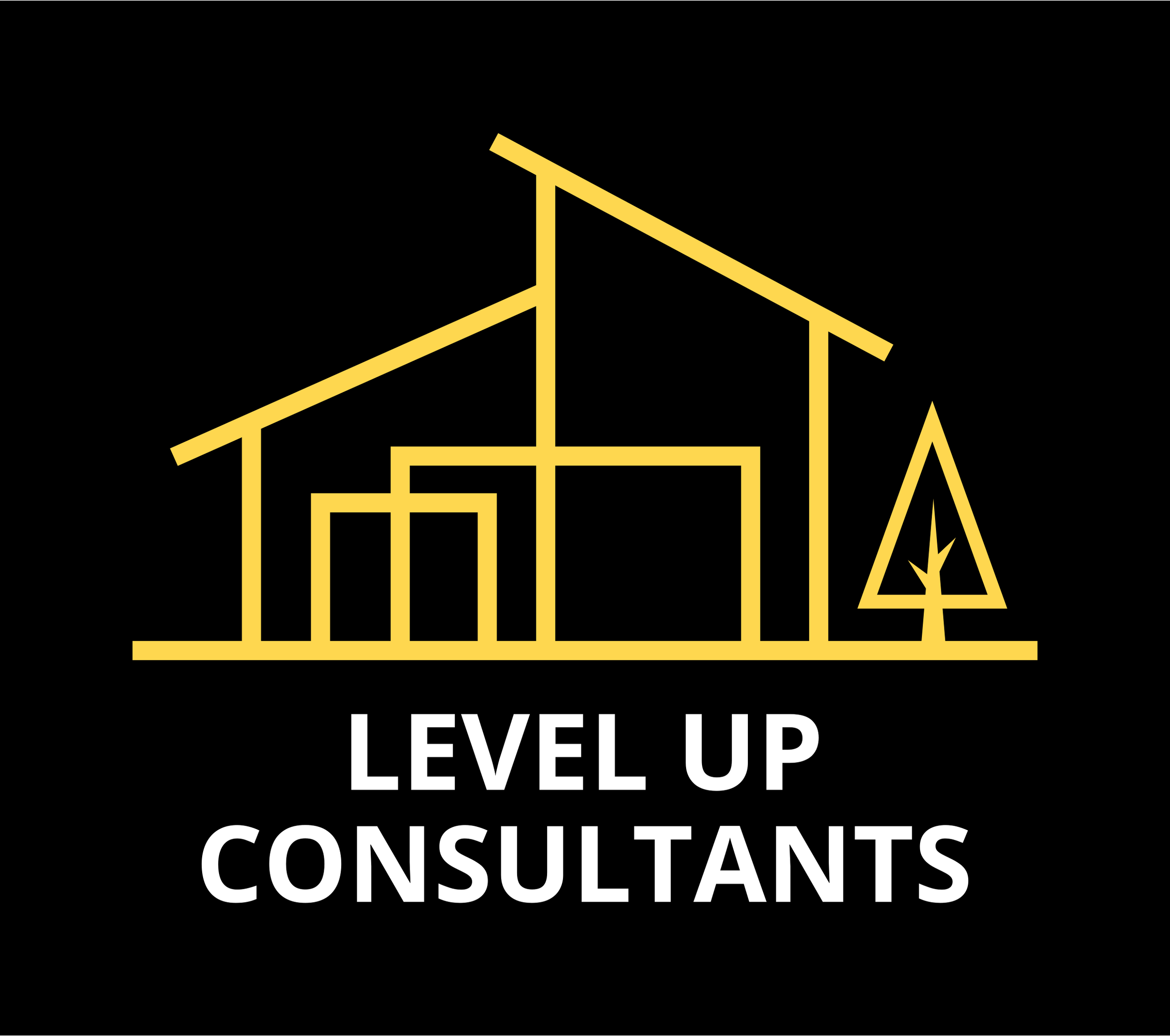 Level Up Consultants