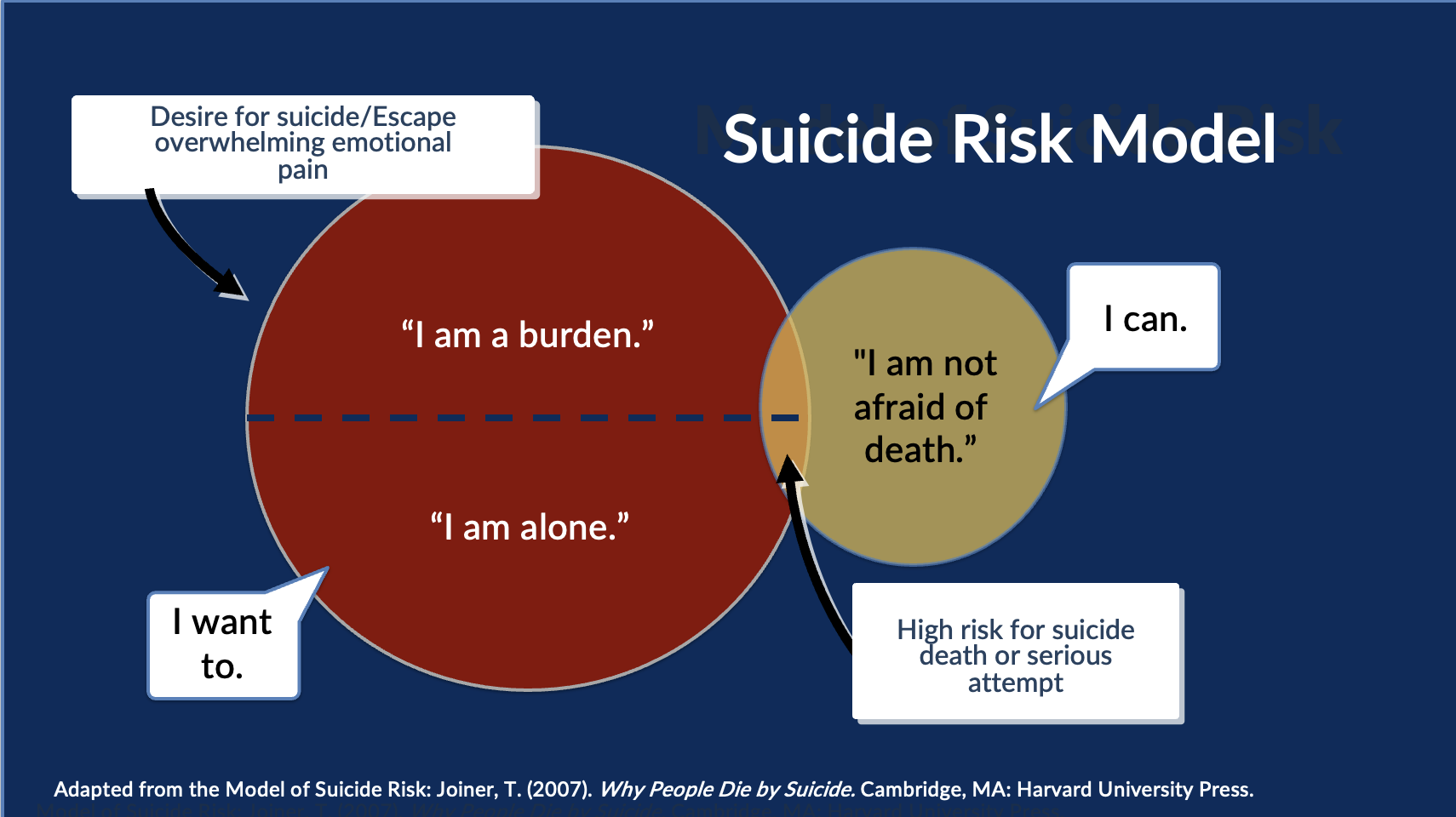 Interpersonal Theory of Suicide