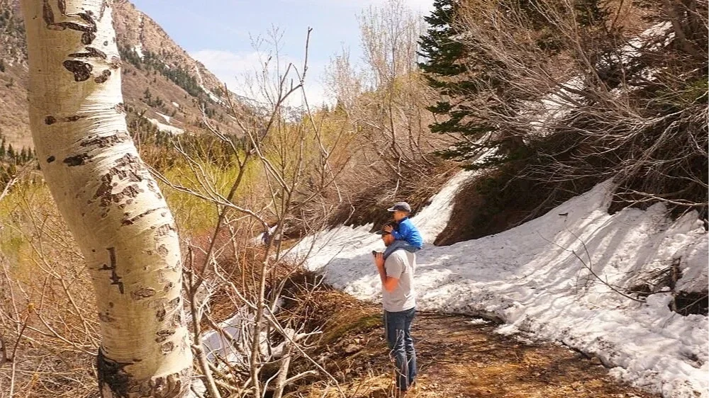 3 Secrets to Successful Family Hikes with Kids