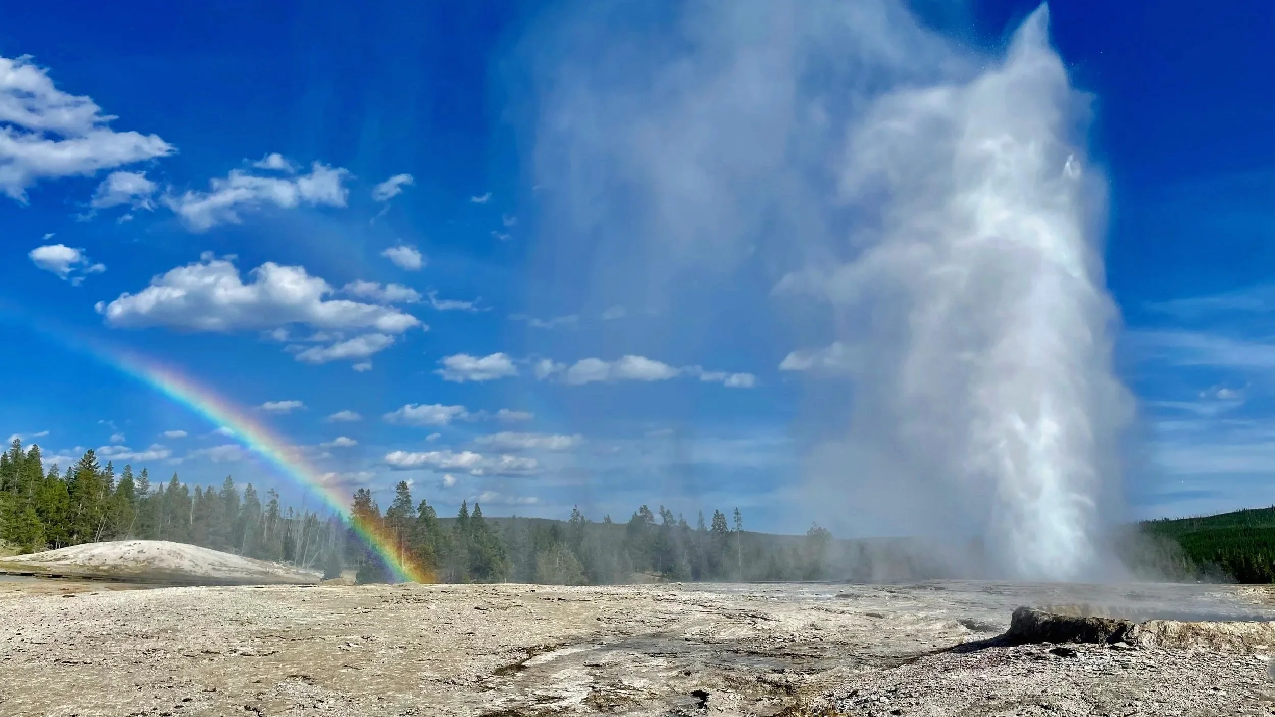10 Reasons NOT to Visit Yellowstone: Cancel Your Trip if This Is You