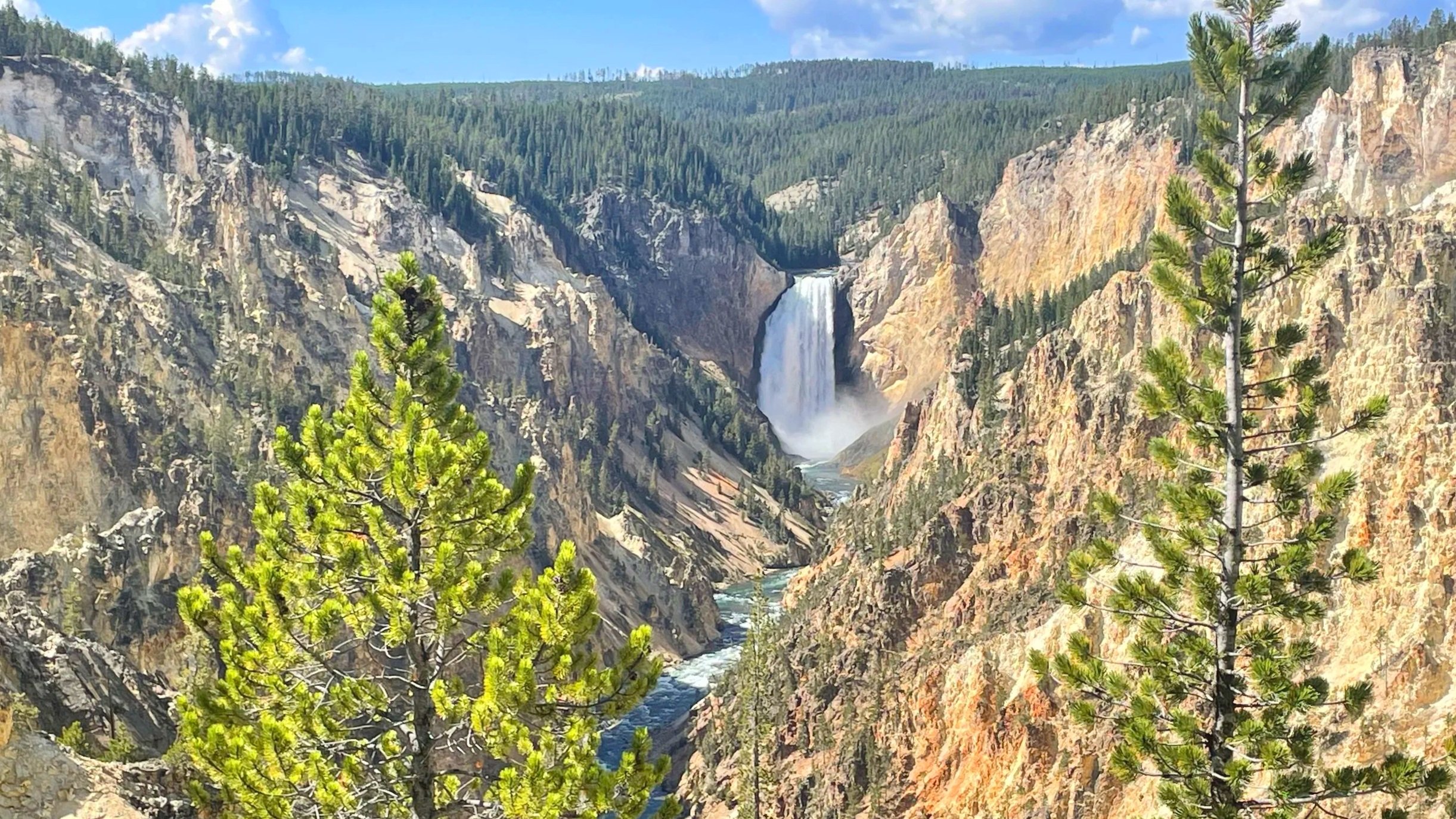 Lower Falls surrounded by golden cliffs in Yellowstone's Grand Canyon