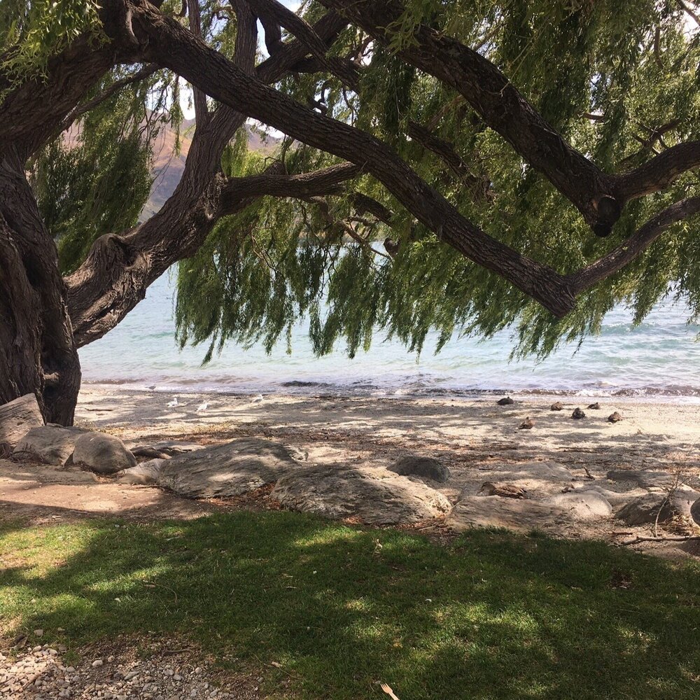 lake+wanaka.jpg