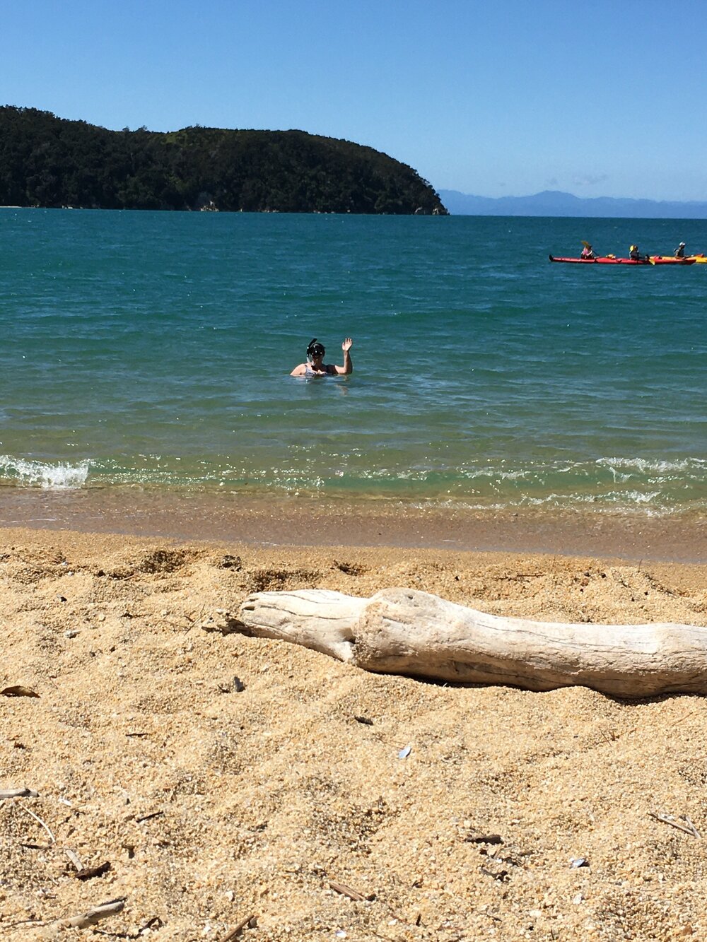 snorkeling in abel tasman.jpg