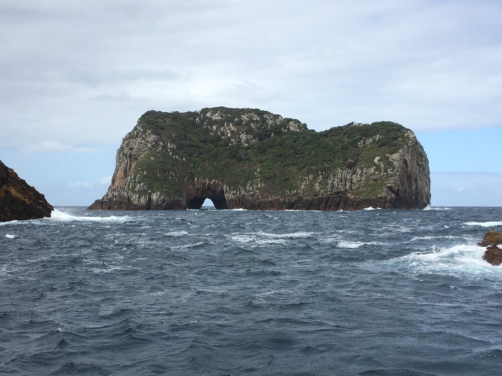 dive tutukaka - island with hole.jpg