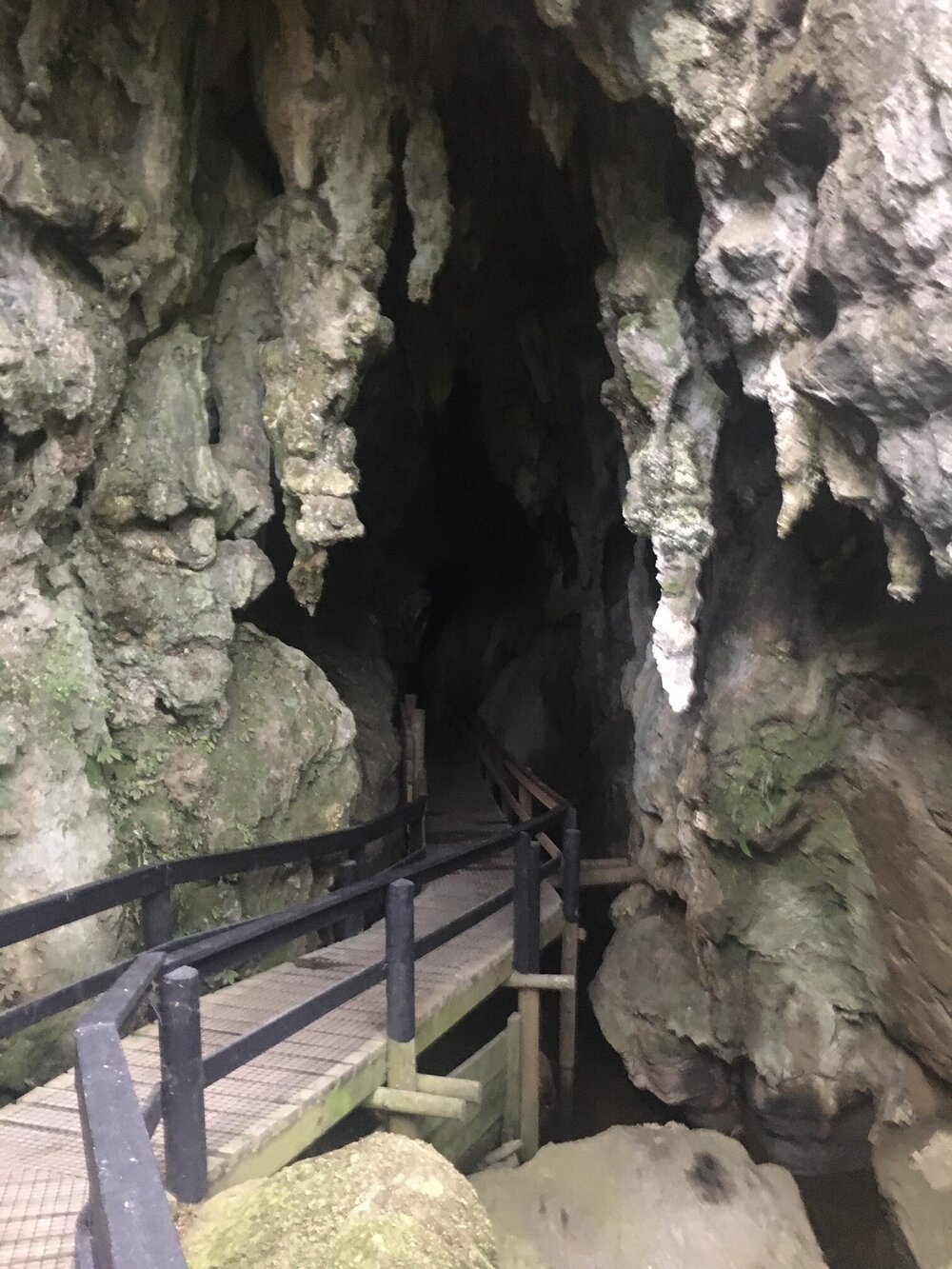 kawiti cave entrance.jpg