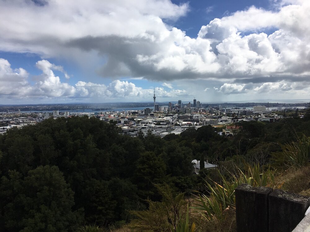 auckland - cityscape.jpg