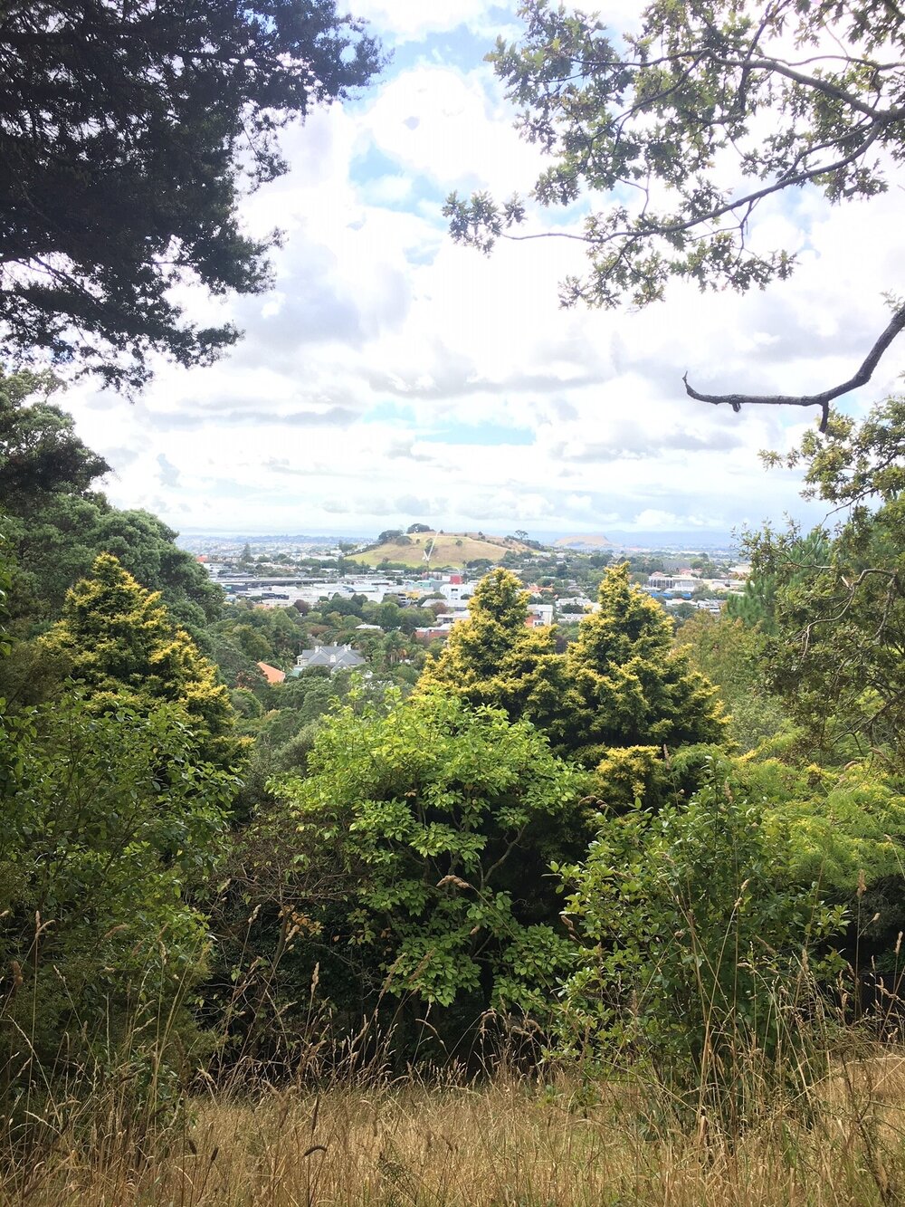 auckland view from crater.jpg