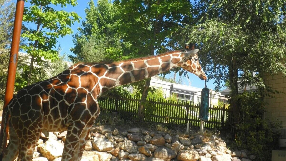 Top 20 Things to Do in Salt Lake City, UT & Nearby Areas for Family