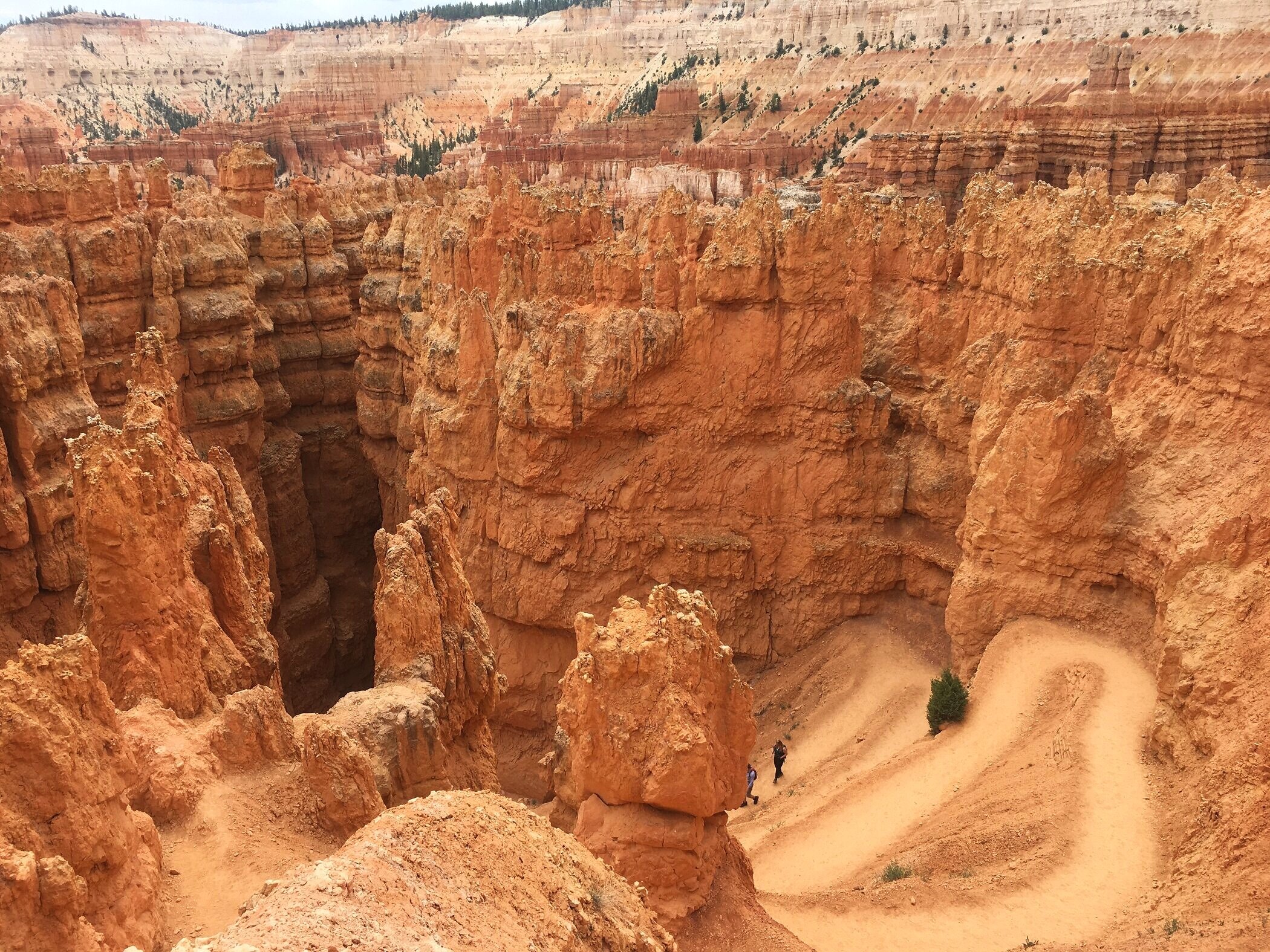 Ups and Downs of 2020: The Year of My 52 Hike Challenge