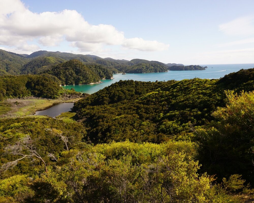 Abel Tasman Coast Track view of Anchorage Bay from hiking trail