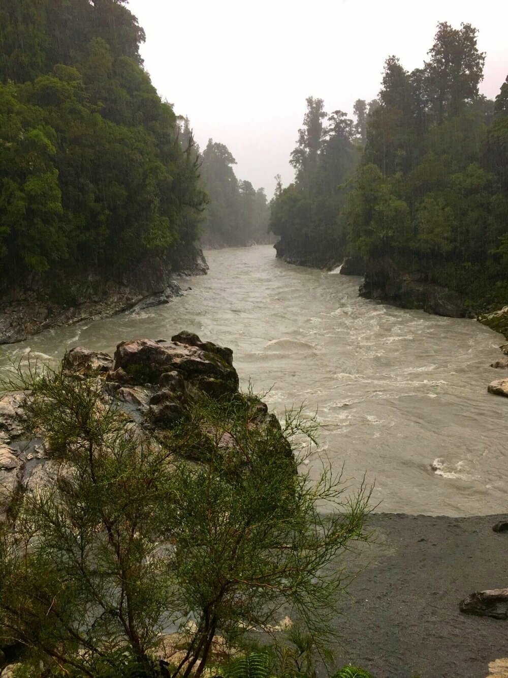 Hokitika Gorge hike - grey river during a rainfall