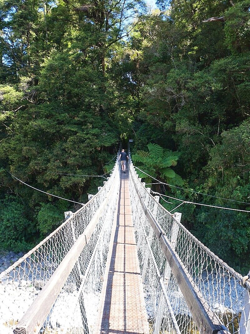 Swinging Bridge at beginning of Kaitoke Regional Loop Track