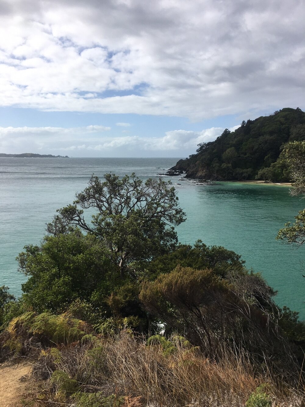 Views of the blue-green ocean from Whale Bay hiking trail in New Zealand