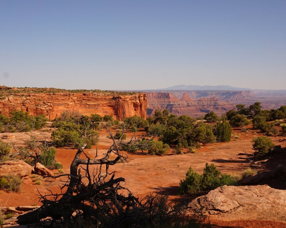 Dead Horse Point State Park in Utah - hiking trail views