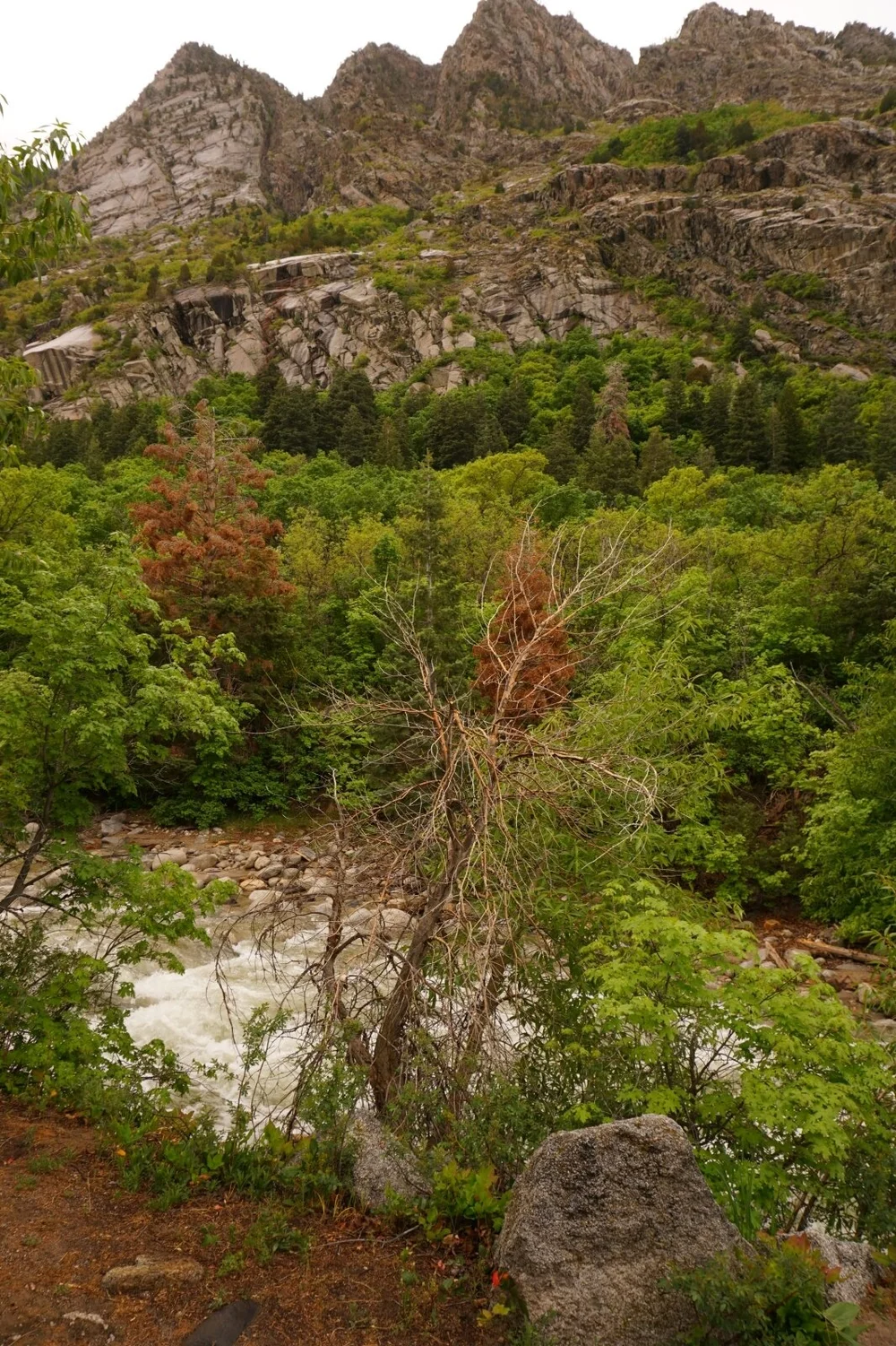 View of Wasatch Mountains from Utah hiking trail, Temple Quarry in Little Cottonwood Canyon