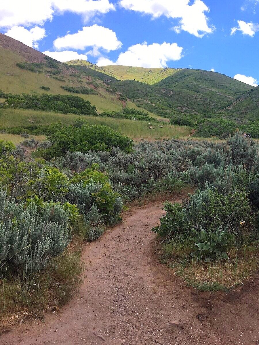 Salt Lake City, Utah hiking trail, Living Room Trail