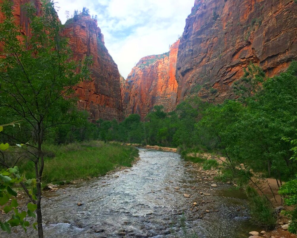 The Narrows - Utah hiking trail in Zion National Park with red cliffs and Virgin River