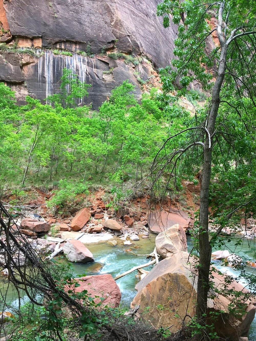 Virgin River views on The Narrows hike in Zion National Park