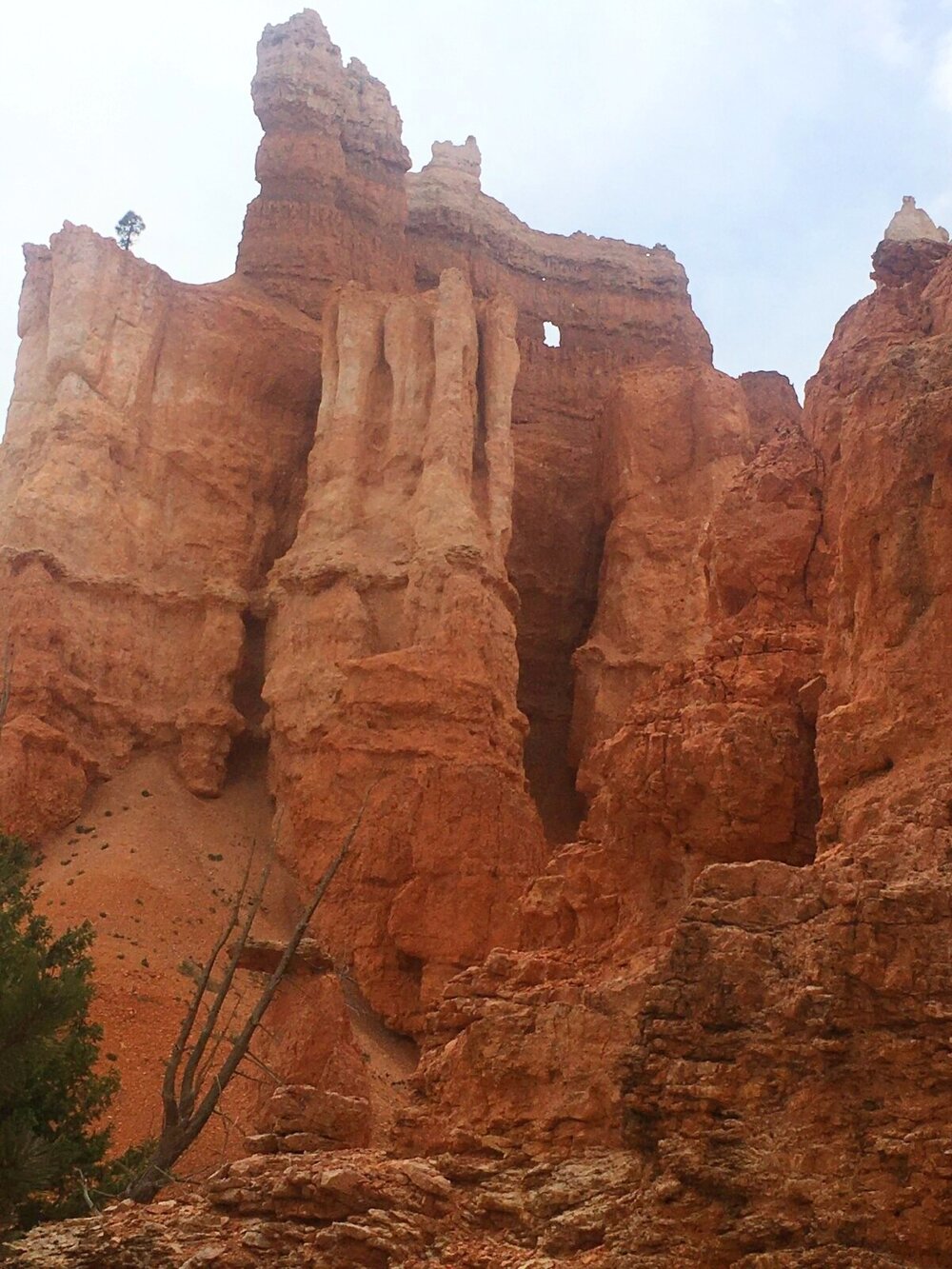 Queen's Garden in Bryce Canyon National Park - Utah hiking trail