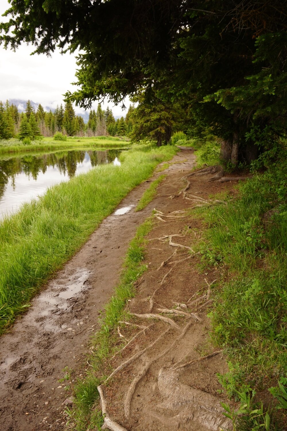 Hiking trail along river in Schwabacher Landing in Grand Teton National Park