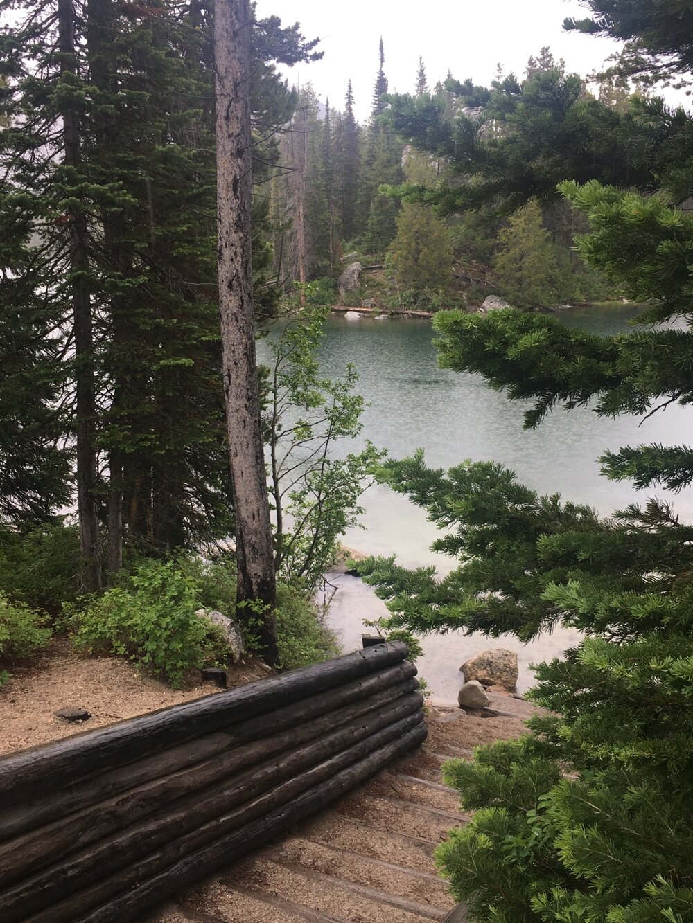 Leigh Lake - Hiking Trail in Grand Teton National Park