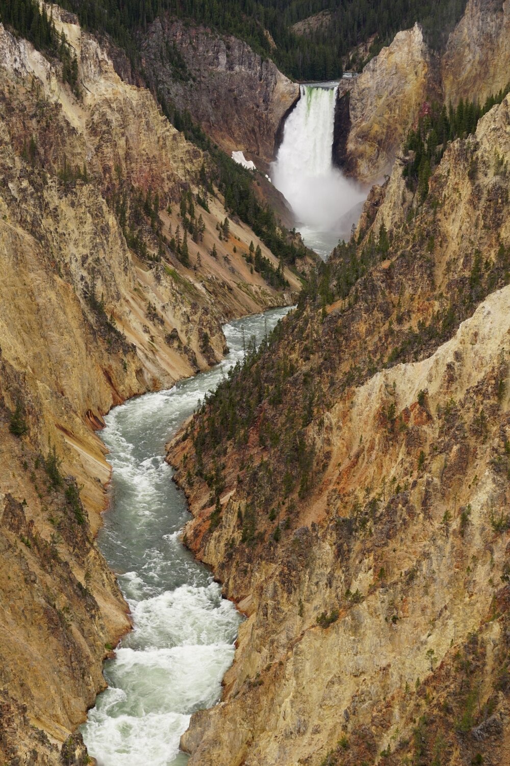 Grand Canyon of Yellowstone - Yellowstone River gorge waterfall
