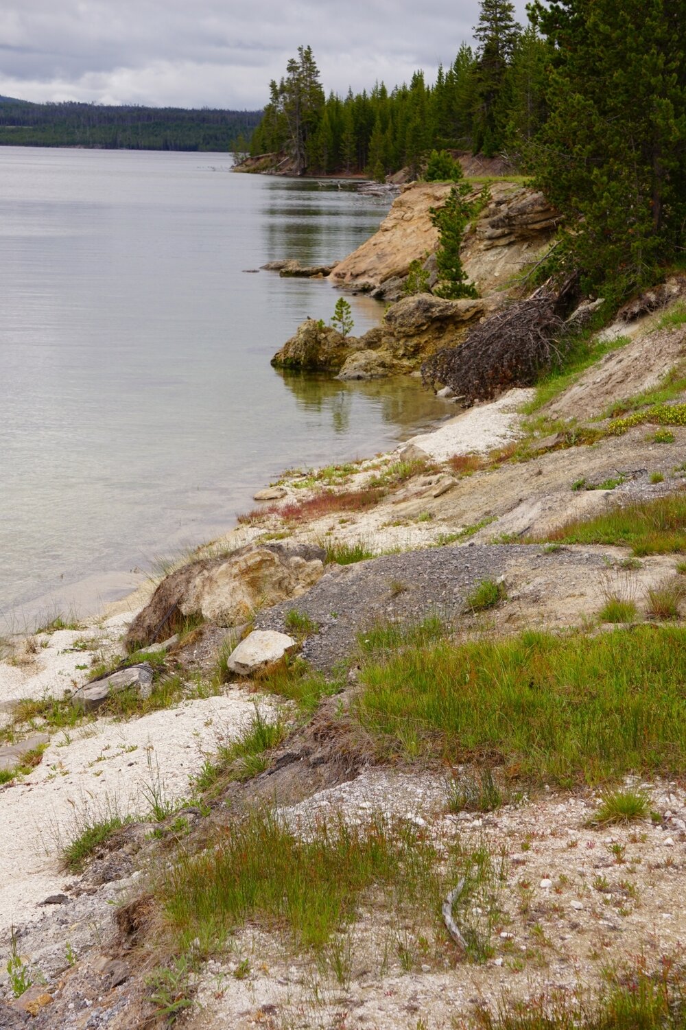 Yellowstone Lake shoreline - West Thumb - Yellowstone National Park