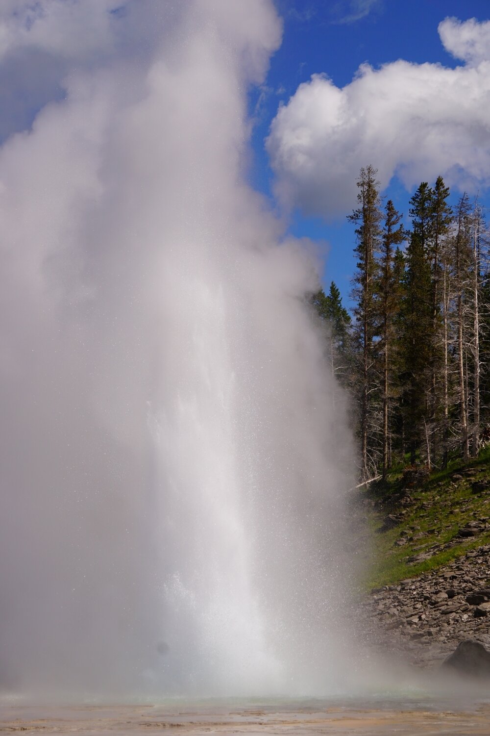 Grand Geyser Eruption - Upper Geyser Basin hiking trail - Yellowstone National Park