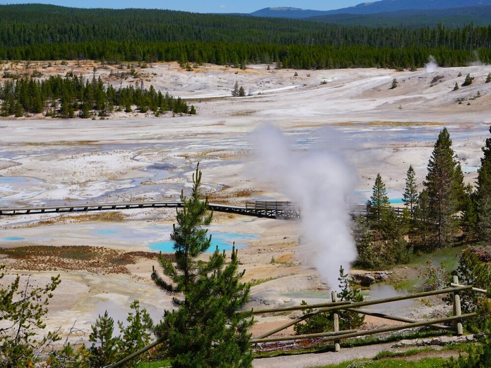 Norris Geyser Basin overlook - blue pools and steam - Yellowstone National Park