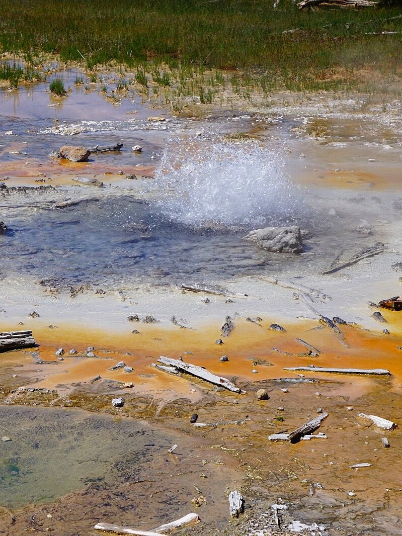 Hot Pots bubbling - Norris Geyser Basin - Yellowstone National Park